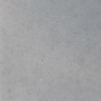 Solid Surface Perla TXT
